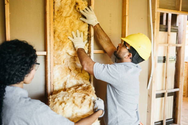 Types of Insulation We Offer in Dexter, GA